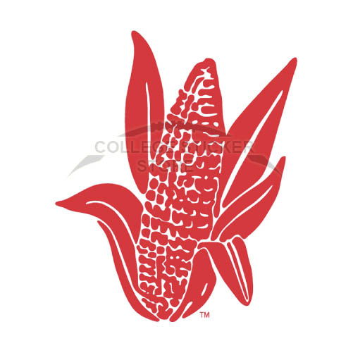 Personal Nebraska Cornhuskers Iron-on Transfers (Wall Stickers)NO.5381